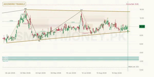 DWTM chart