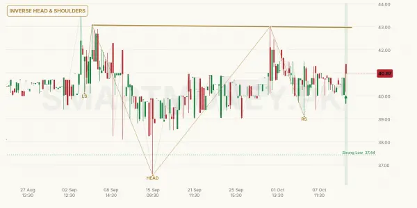 SMCPL chart